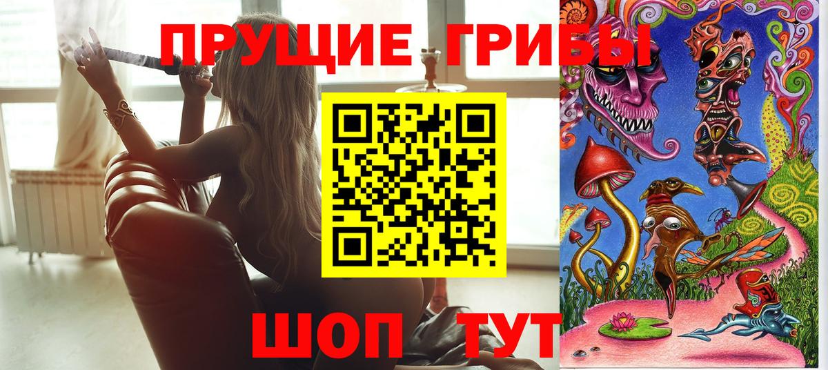 Галлюциногенные грибы Psilocybe Белая Калитва